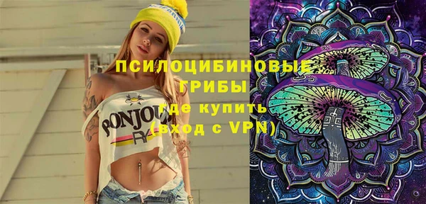ПСИЛОЦИБИНОВЫЕ ГРИБЫ Белоозёрский
