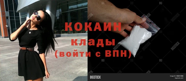 ПСИЛОЦИБИНОВЫЕ ГРИБЫ Белоозёрский