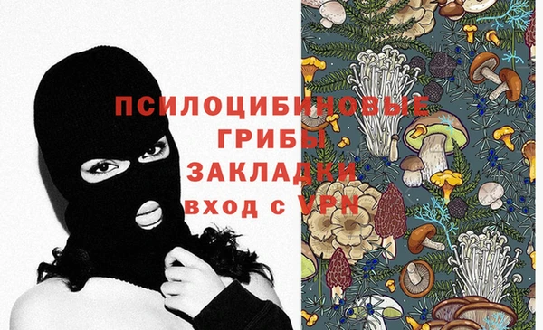 МДПВ Белокуриха