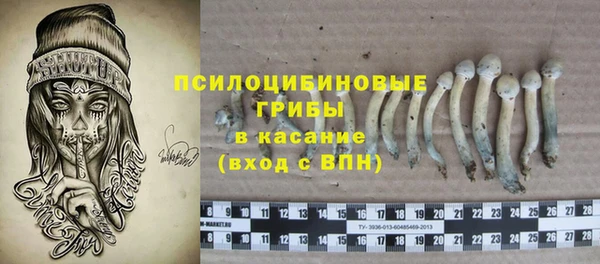 ПСИЛОЦИБИНОВЫЕ ГРИБЫ Белоозёрский